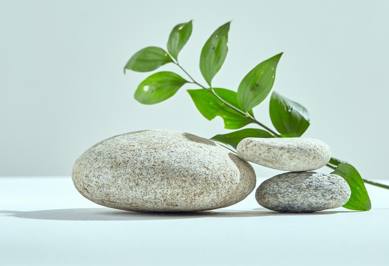 High performing teams